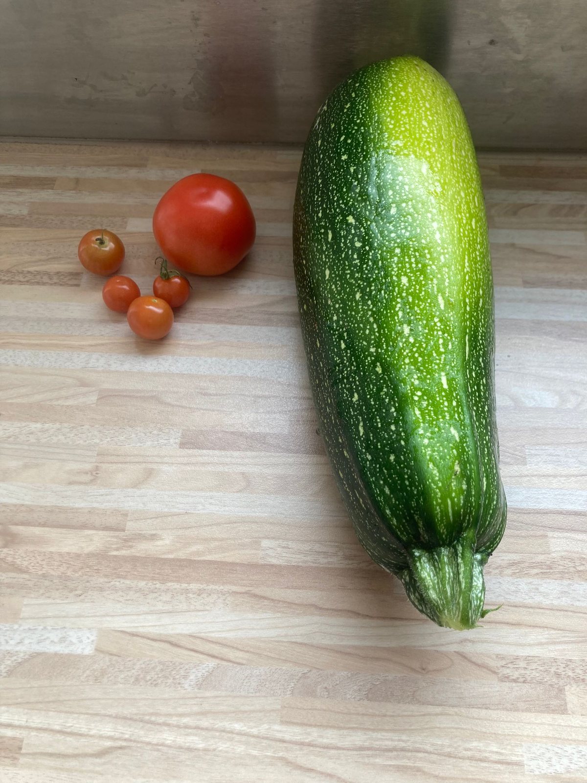 Récolte de courgette et tomates à la Ferme Innovante Ghassan