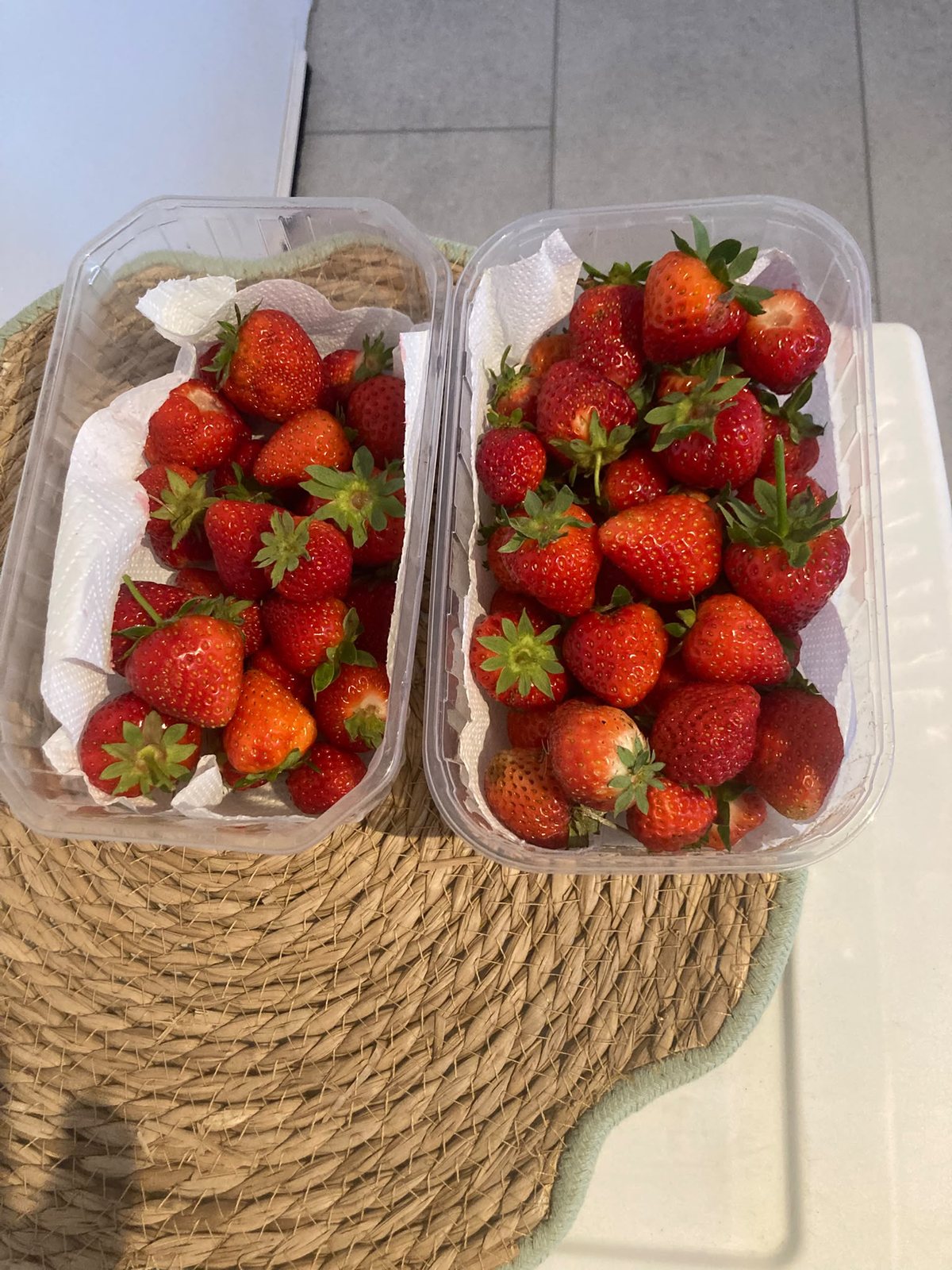 Récolte de fraises